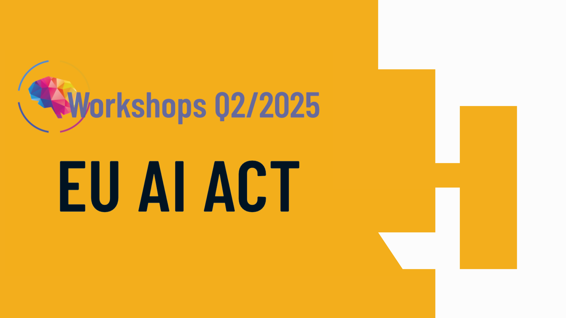 Workshop on the EU AI ACT